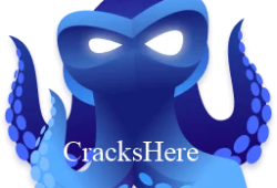 Octo Browser full crack