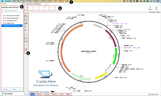 SnapGene-Full-Version-Download