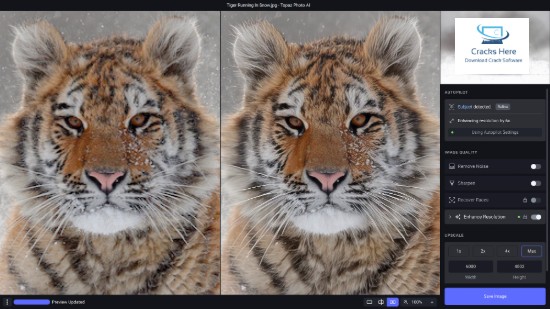 Topaz Photo AI Cracked Version Download