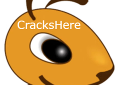 Ant Download Manager Crack